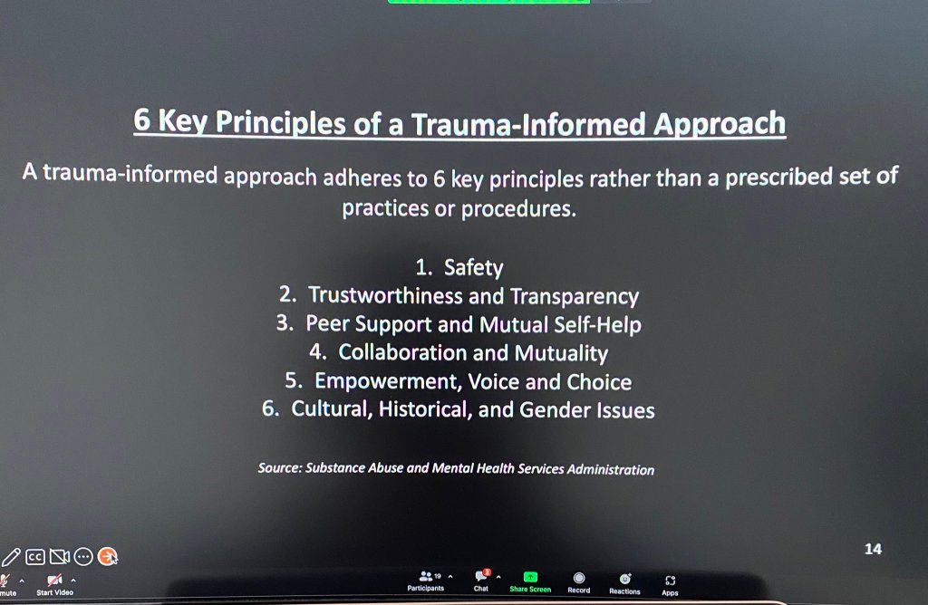 6 Key principles of a trauma-informed approach as defined by the U.S. Substance Abuse and Mental Health Services Administration: 

1. Safety 
2. Trustworthiness & transparency 
3. Peer support 
4. Collaboration 
5. Empowerment
6. Intersectionality & context